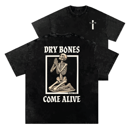 DRY BONES Snow Washed Oversized Cotton T-Shirt